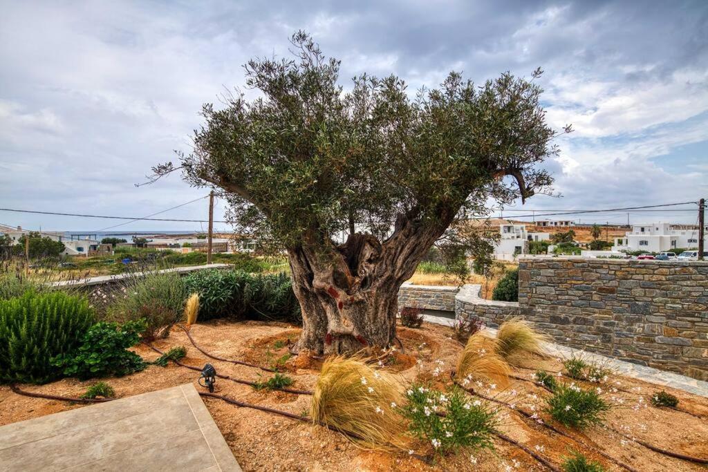 Grand Villa Reve Naousa  Bagian luar foto