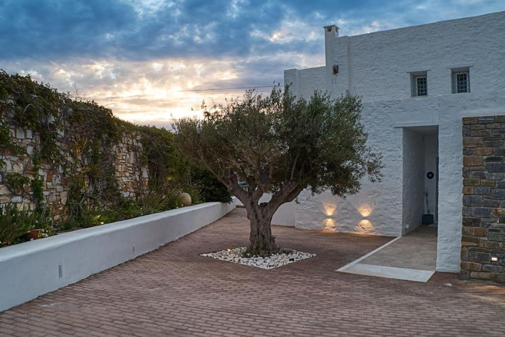 Grand Villa Reve Naousa  Bagian luar foto
